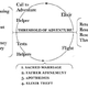Illustration for article titled The Monomyth: You’re Doing It Wrong